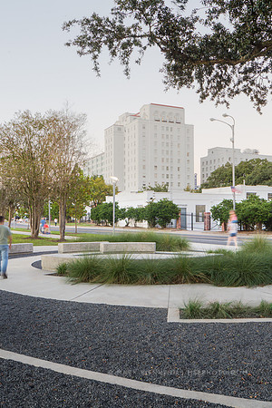 LASM Yazoo Plaza | Suzanne Turner Associates