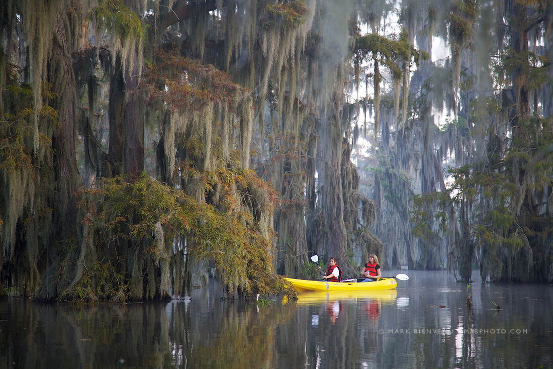 Lake Martin - Breaux Bridge, Louisiana