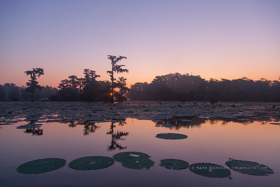 Lake Martin - Breaux Bridge, Louisiana