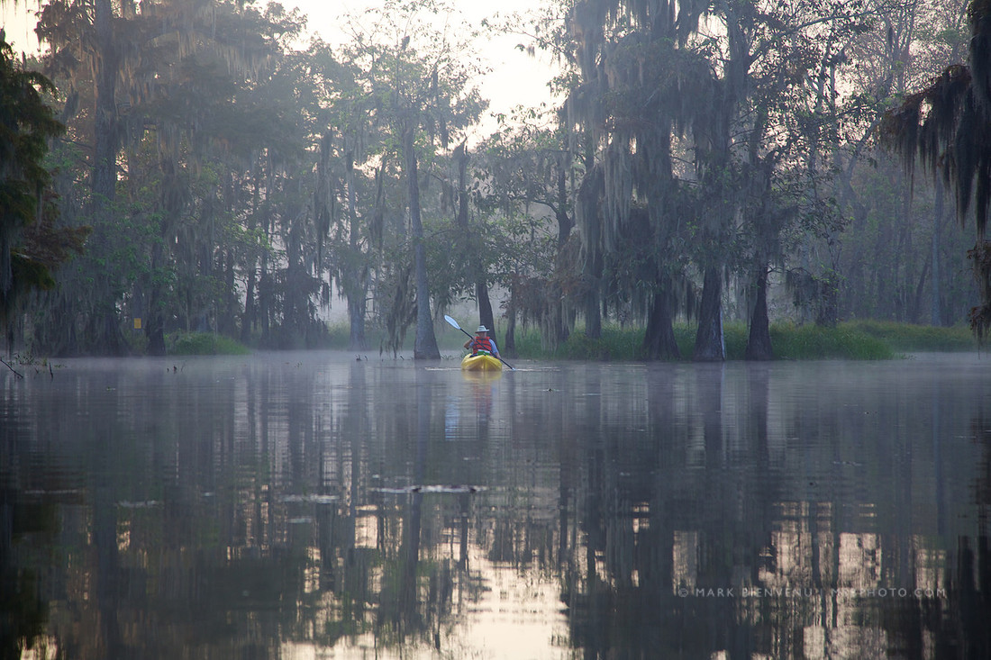 Lake Martin - Breaux Bridge, Louisiana