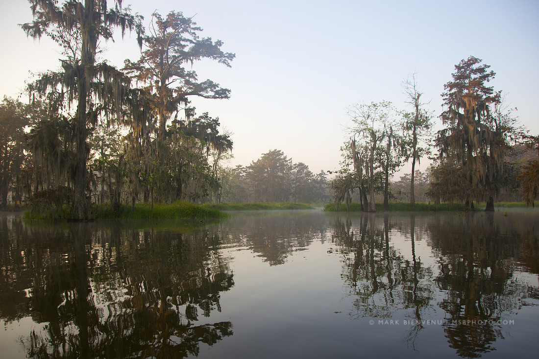 Lake Martin - Breaux Bridge, Louisiana