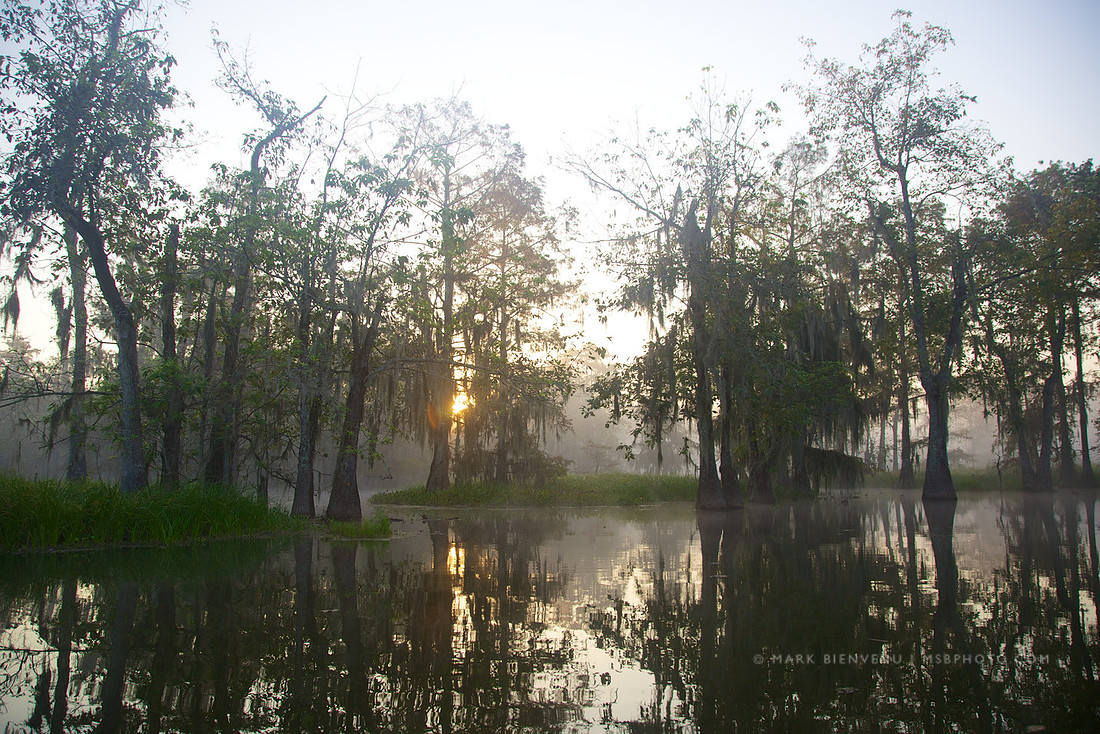 Lake Martin - Breaux Bridge, Louisiana