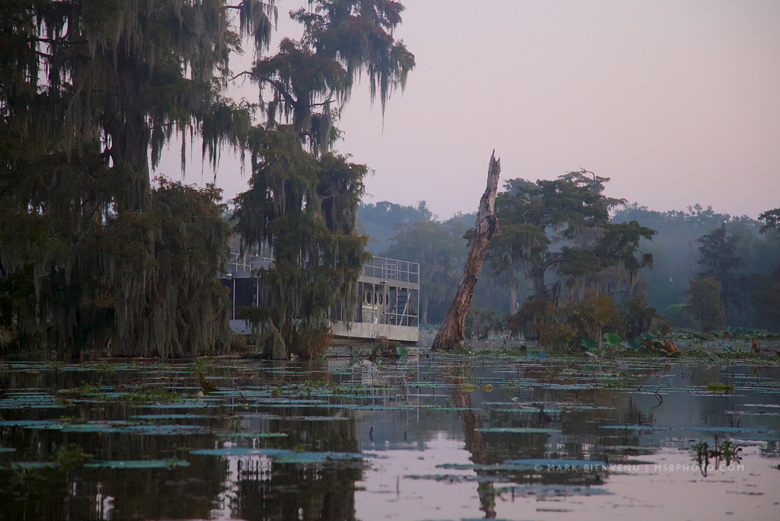 Lake Martin - Breaux Bridge, Louisiana