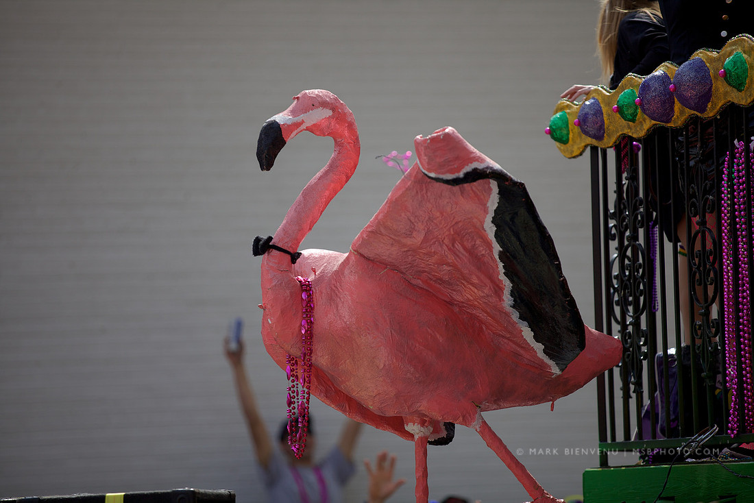 Spanish Town Mardi Gras Parade - Baton Rouge, Louisiana
