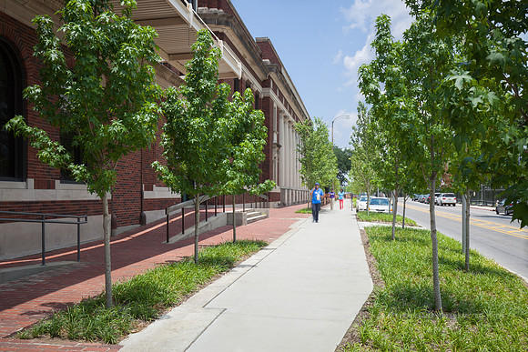 Downtown Greenway | Downtown Development District