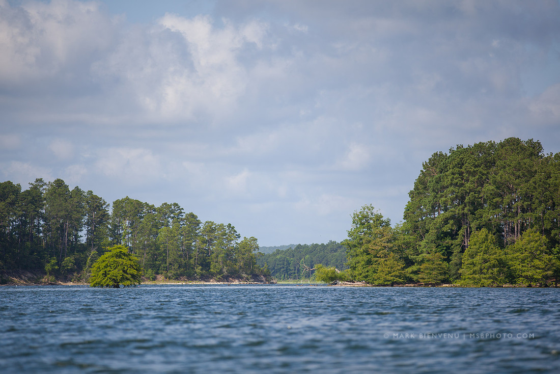 Toledo Bend State Park - Mark Bienvenu - Baton Rouge Landscape Photographer