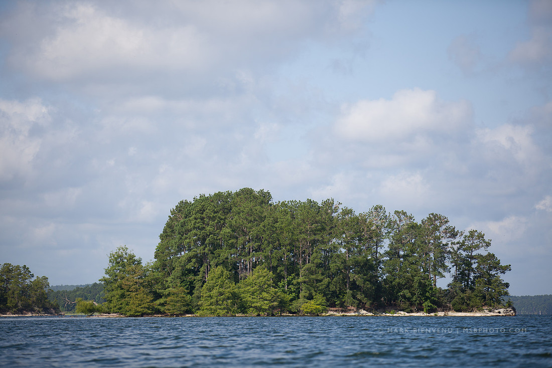 Toledo Bend State Park - Mark Bienvenu - Baton Rouge Landscape Photographer