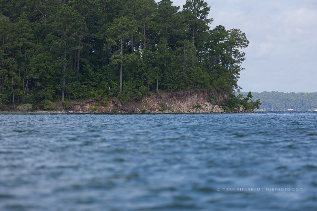 Toledo Bend State Park - Mark Bienvenu - Baton Rouge Landscape Photographer