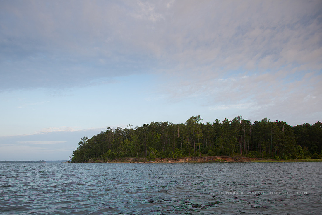 Toledo Bend State Park - Mark Bienvenu - Baton Rouge Landscape Photographer