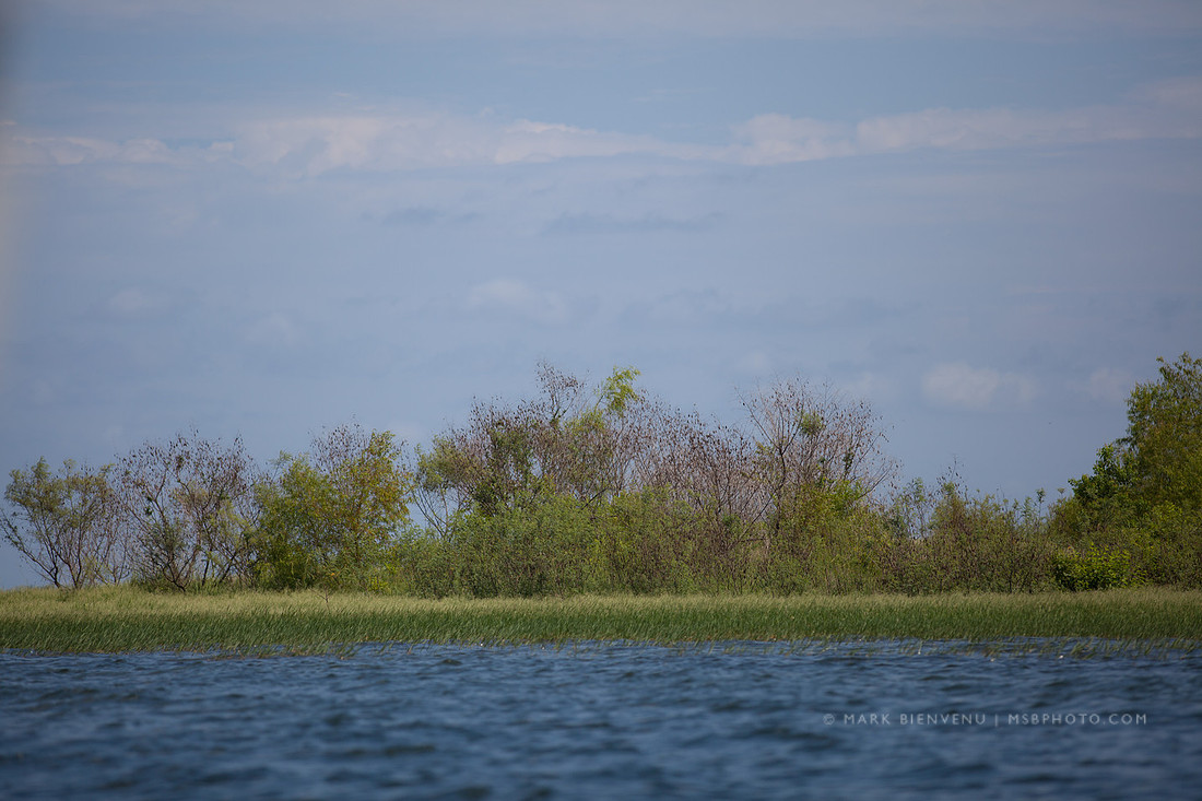 Toledo Bend State Park - Mark Bienvenu - Baton Rouge Landscape Photographer
