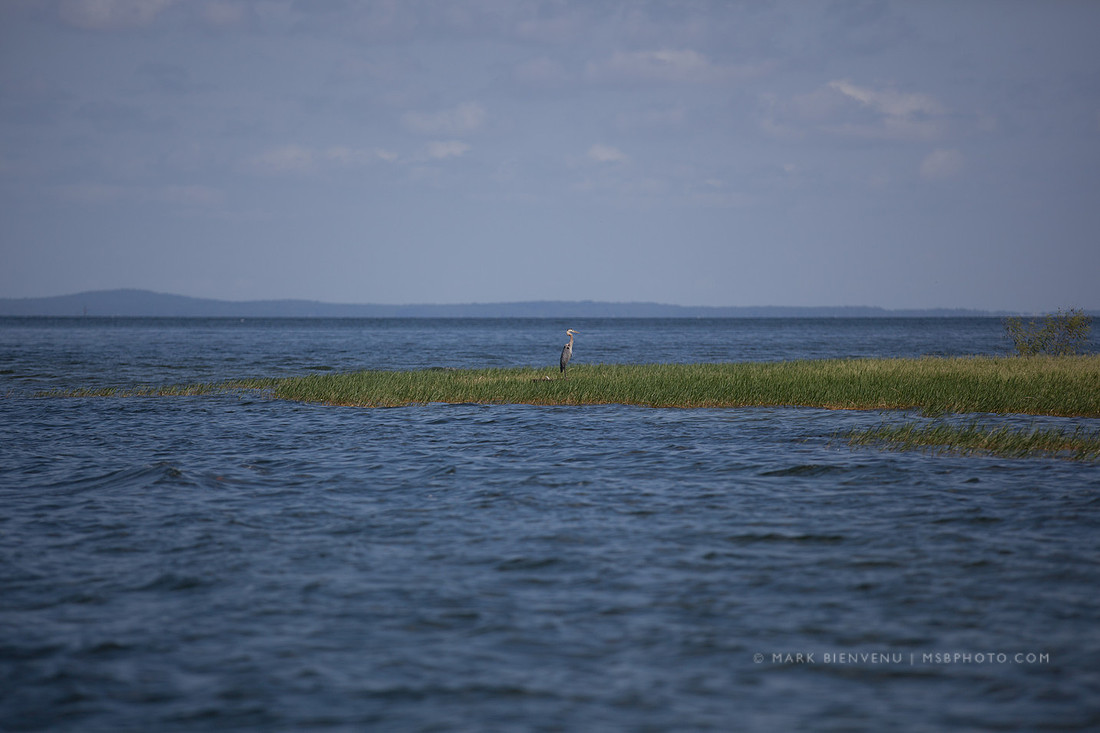Toledo Bend State Park - Mark Bienvenu - Baton Rouge Landscape Photographer