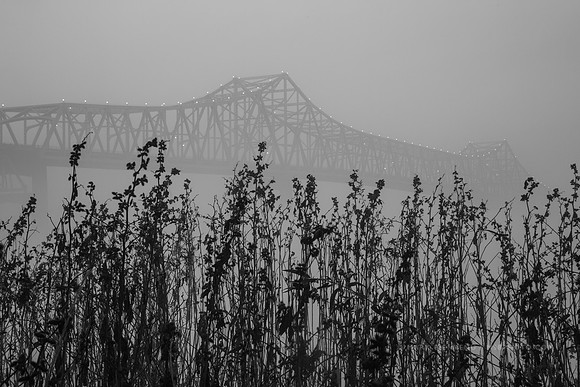 Horace Wilkinson Bridge