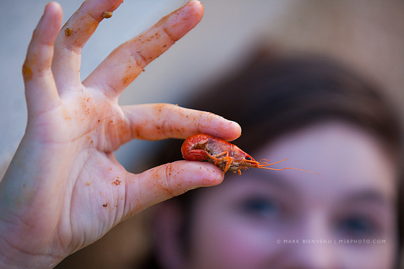 Crawfish King Cook-Off