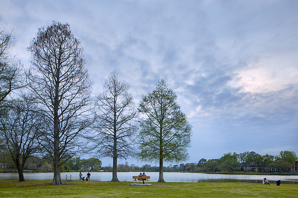 BREC Milford Wampold Park on University Lake