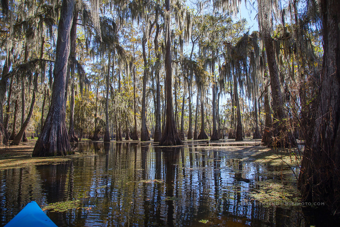 Lake Martin | Louisiana Landscape Photographer Mark Bienvenu