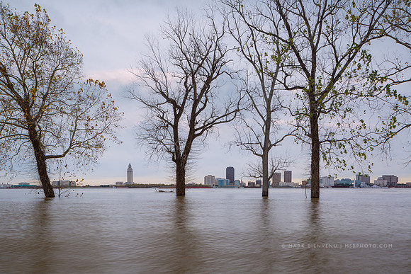 Baton Rouge Skyline
