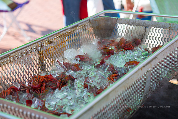 Crawfish King Cook-Off