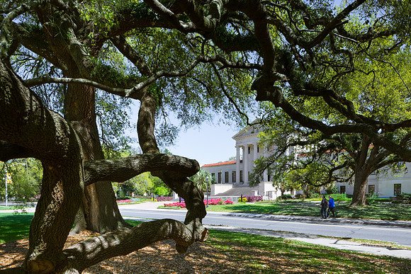 LSU Paul M. Hebert Law Center