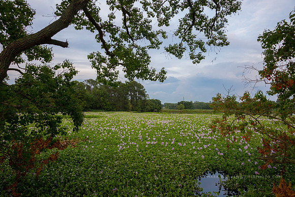 Crest Lake