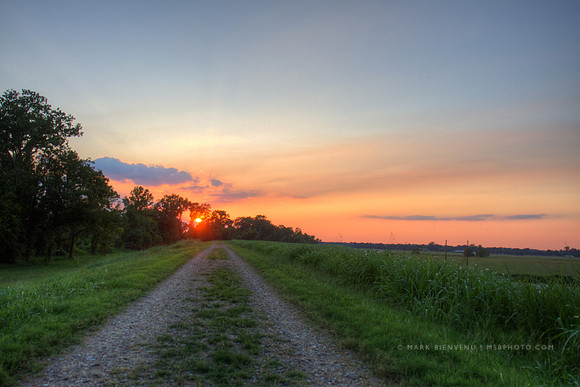 Mississippi River Levee